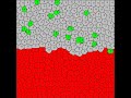 Cellular Potts Model: T cell infiltration into the tumor site.