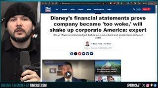 Disney ADMITS Wokeness BROKE The Brand, Bud Light Sales PLUMMET AGAIN, DEI And ESG HAVE FAILED