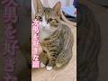 【特集】次男を好きな表情#cats #short#球太