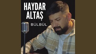 Bülbül