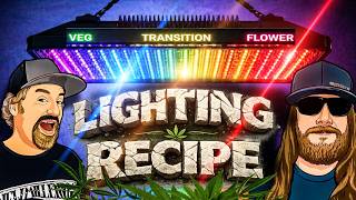 This Is What Future Cannabis Lighting Looks Like