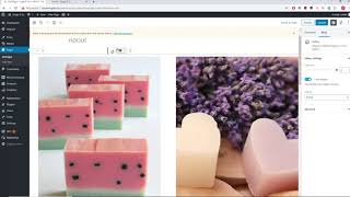 Wordpress Gutenberg vs Classic Editor