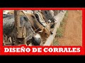 🔴 CONSEJOS para GANADEROS, Diseño de CORRALES ✅ (Curso de Ganaderia Bovina)