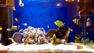 20091121026.mp4