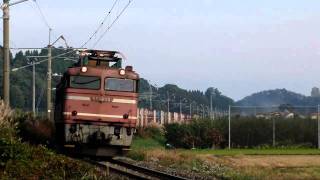 2010.10.24 高速貨物3098レ・EF81-39号機