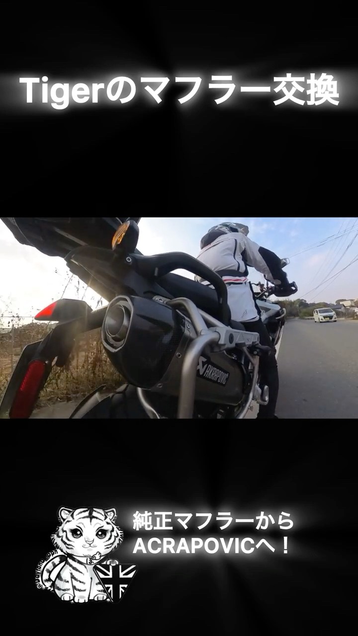 TRIUMPH TIGER】純正→アクラポにマフラー交換！音の違いがヤバい…続き