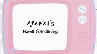 (Sub Indo) TWICE TV “Home Gardening” EP.02