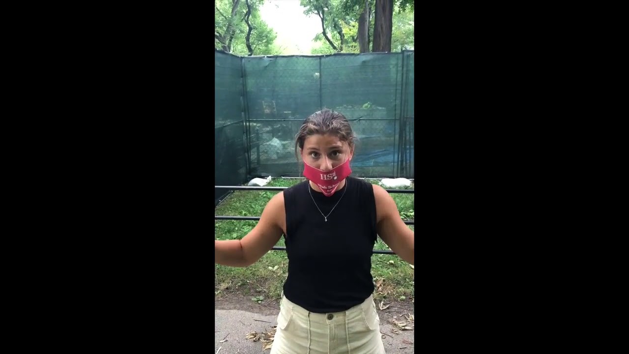 The Suffragists Statue in Central Park