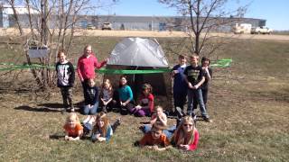 Malaise Trap video