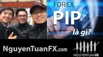 PIP là gì? - Khái Niệm Cách tính Cơ bản PIP trong Forex - Nguyễn Tuân FX
