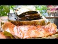 Tamales Oaxaqueños con sabor Costeño