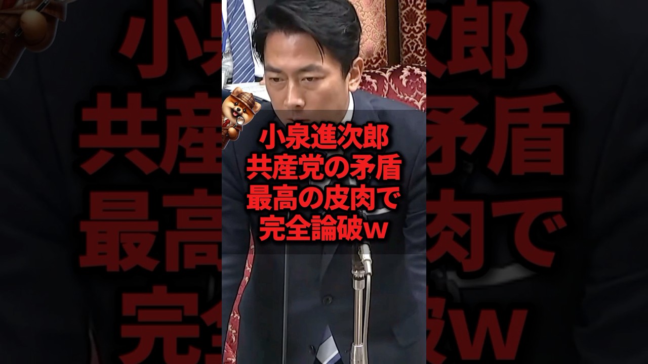小泉進次郎、共産党の矛盾最高の皮肉で完全論破ｗ
