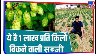 Bihar में शुरू हुई दुनिया की सबसे महंगी सब्जी की खेती, बढ़ती जा रही ‘Hop Shoots’ की Demand