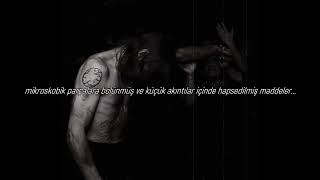 lifelover - myspys (türkçe çeviri)