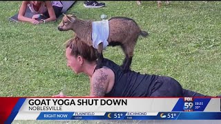 Download Lagu Hamilton County Happy Goat Lucky Yoga will be no more MP3 Download Lagu Hamilton County Happy Goat Lucky Yoga will be no more MP3