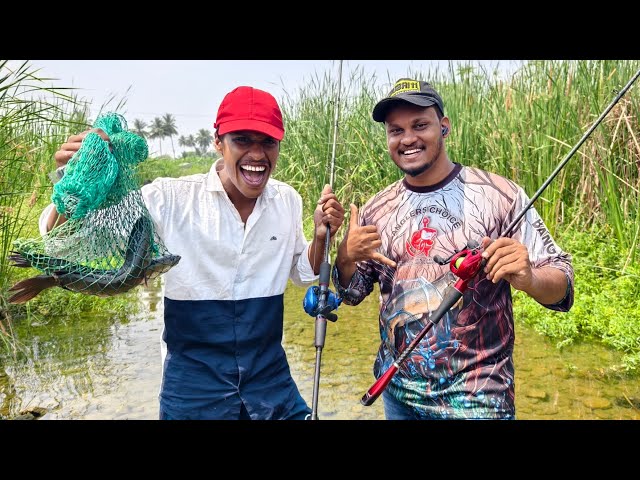அருமையான வியட்நாம் விரால் மீன் வேட்டை நண்பர்களே | Vietnam snakehead fish hunting video tamil| lucana