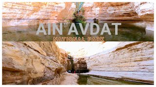 AIN AVDAT NATIONAL PARK 1