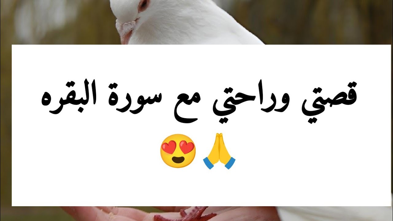 كيف غيرت سورة البقرة حالي  ؟؟💗💗 