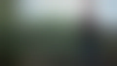 The Science of Acupuncture  BBC Documentary  Traditional Chinese Medicine