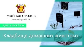 Кладбище домашних животных в Ногинске Кладбище домашних животных в Ногинске