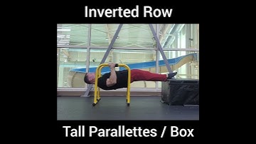 Inverted Row- Tall Parallettes / Box