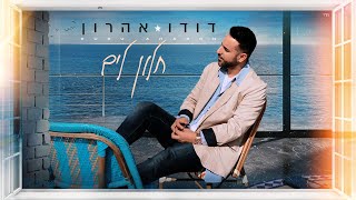 דודו אהרון - חלון לים