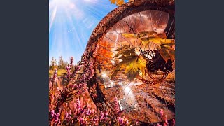 Мимолётно - Velotrotter