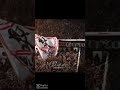 وراك وراك يا زمالك