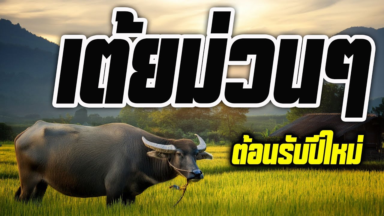 ลูกทุ่งหมอลำ : เต้ยม่วนๆต้อนรับปีใหม่