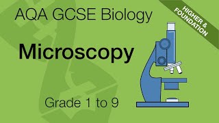 AQA GCSE Biology: Microscopy | Light and Electron Microscopes Explained