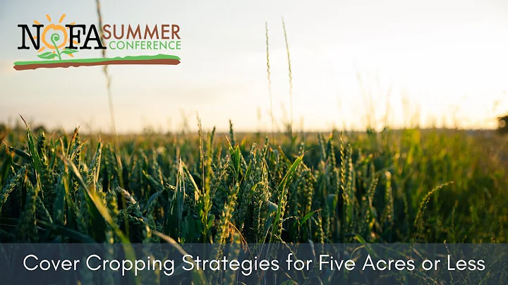Cover Cropping Strategies for Five Acres or Less w...