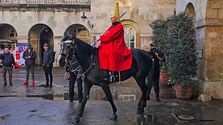 King's Horse PAGAN is back at Horse Guards on a super windy Monday morning!