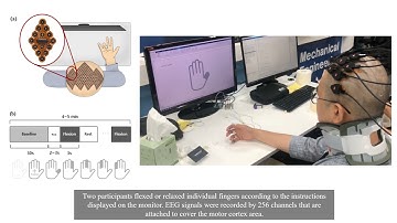 3rd Place Winner BCI Award 2021 - Individual Finger Movement Classification using Ultra-HD EEG