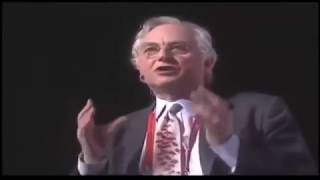 Richard Dawkins and Michio Kaku:  Does God exist ?