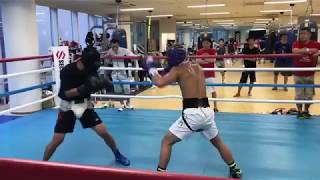 Super Flyweight champion Naoya &#39;Monster&#39; Inoue sparring a featherweight!