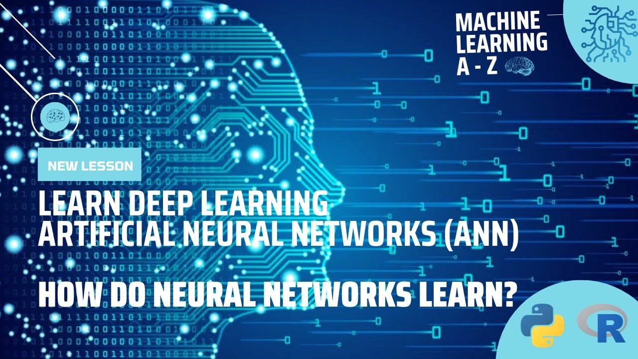 Learn Deep Learning | Artificial Neural Networks (ANN) : How do Neural ...