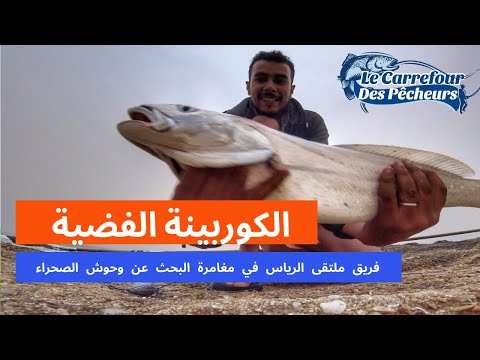 فيديو: اضطرابات العظام والعضلات في الأسماك
