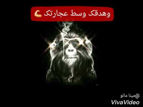 حمو بيكا جديد بص يالا يالي امك فارده جامده فشخ
