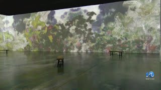 Beyond Monet: The Immersive Experience in VB