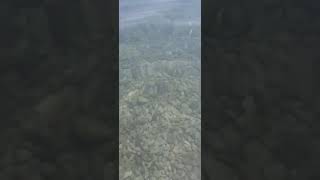 Море Вода в море Ялта Крым Массандровский пляж