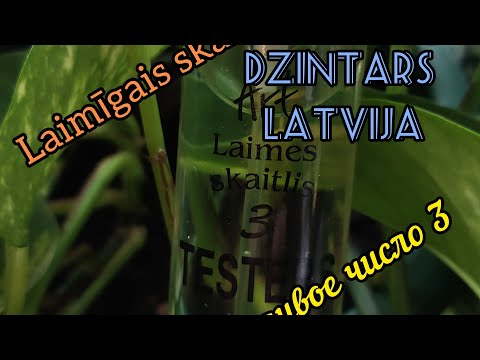 Laimīgais skaitlis 3. (СЧАСТЛИВОЕ ЧИСЛО 3) КАКОЕ У ВАС СЧАСЛИВОЕ ЧИСЛО? ОБЗОР СЧАСТЬЯ В АРОМАТЕ.