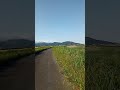 岡崎友紀【恋してるから】