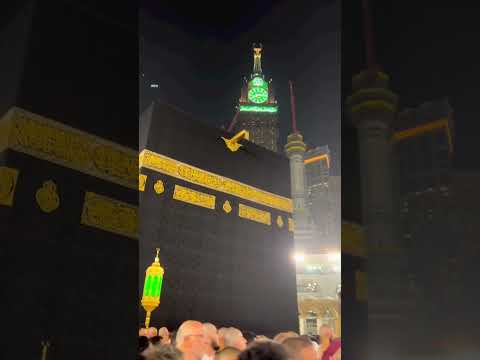 ماذا لو ذهبنا بعيدا لنلاحق احلامنا حالات حالات واتس فيديو Shortvideo Short