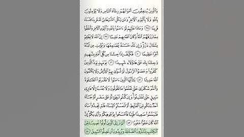 سورة النساء - من الآية 36 حتى الآية 57