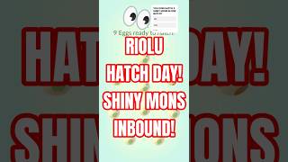 RIOLU HATCH DAY! SHINY MONS INBOUND! #pokemon #pokemongo #pokémon #pokémongo #egg