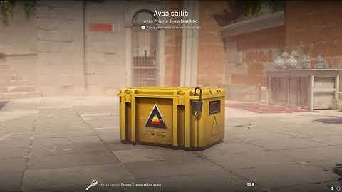 DAY 209 OPENING CS2 CASES UNTIL I GET GOLD!