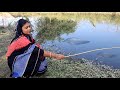 খাল থেকে মাছ ধরে আজ দেখাবো ফলুই সরষে পোস্ত / Hook Fishing by Village Woman / Folui Fishing