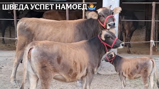 🫡МАРХАМАТ МОЛИ ТАБЪИ ДИЛИ ШУМО😱.ТЕЛ:+992 008 08 88 47🤙. 18 сентября 2025 г