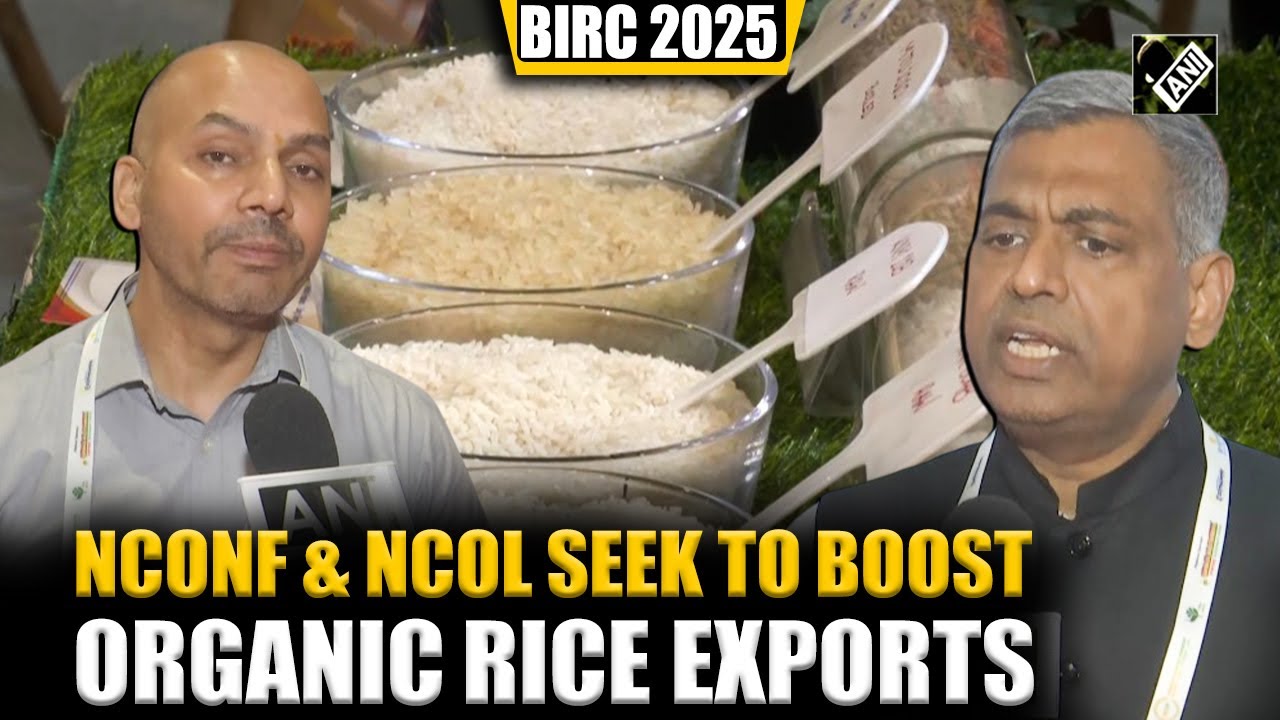 NCONF и NCOL намерены увеличить экспорт органического риса на выставке BIRC 2025 и стимулировать ...