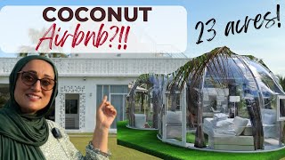 FIRST EVER COCONUT AIRBNB?!  | LUXURY |FARM TOUR | HOLIDAY